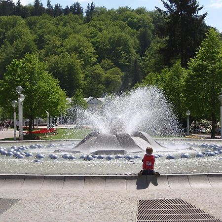 Topapartmany Lesni Mariánské Lázně Kültér fotó